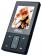 Ritmix RF-4500 2Gb