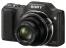 Sony Cyber-shot DSC-H20
