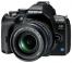 Olympus E-600 Body