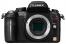 Panasonic Lumix DMC-GH2 Body
