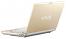Sony VAIO VGN-TT26XRM