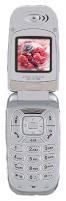 Pantech-Curitel G300