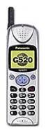 Panasonic G520