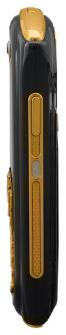 The Q GWx Borus