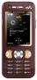 Sony Ericsson W890i